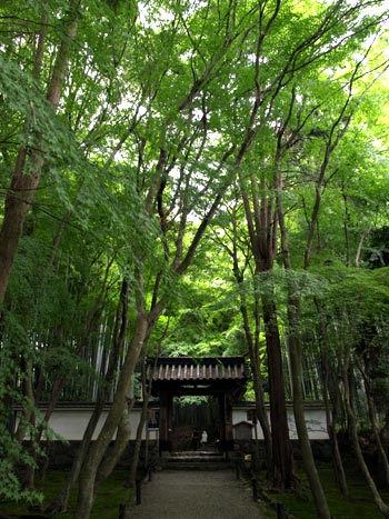 �n���@����