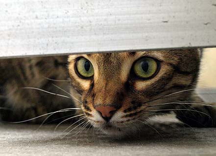 �L�����Ă���