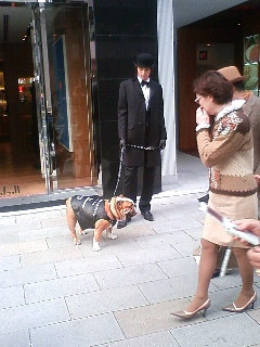 �_���q���P