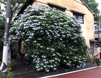 �A�W�T�C���~